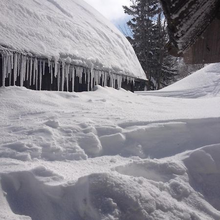Chalet Tisa Velika Planina Stahovica Exterior foto