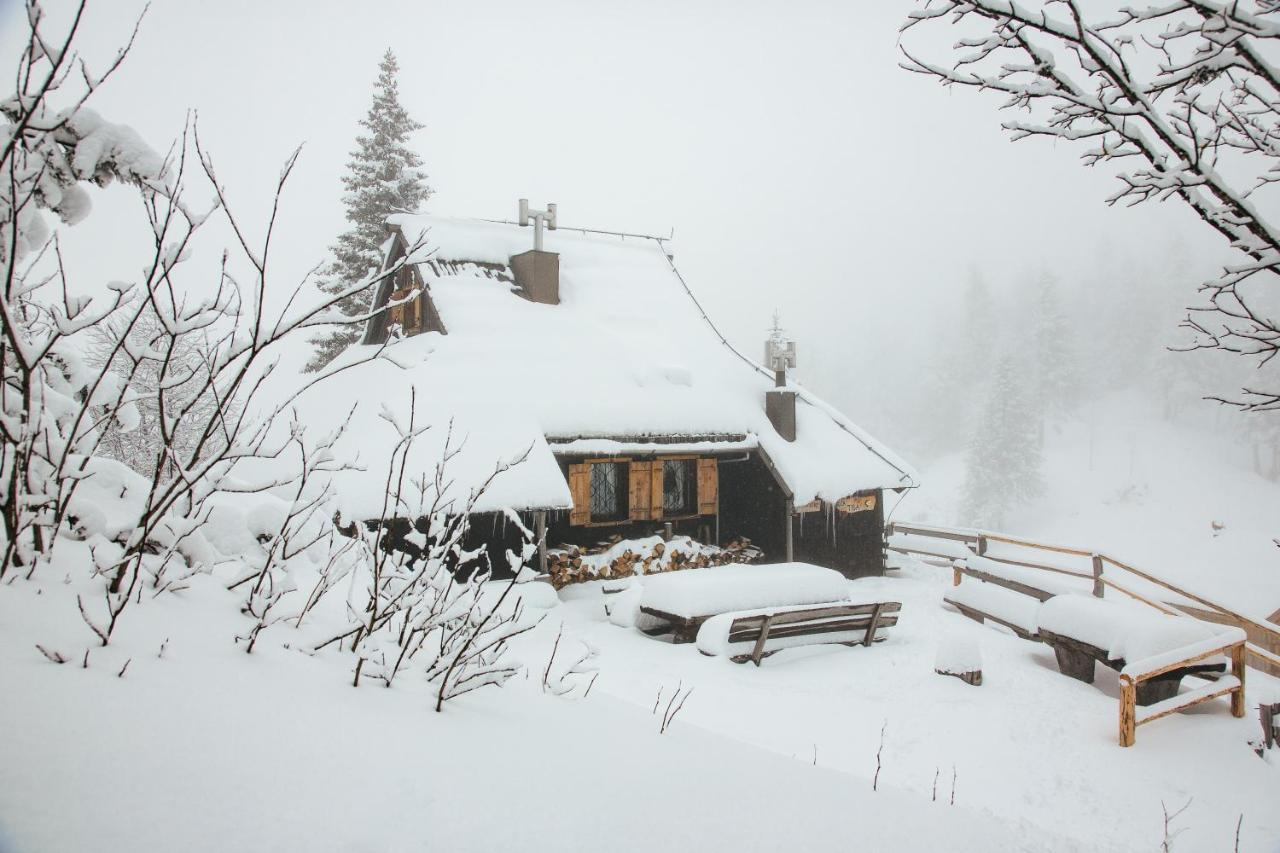 Chalet Tisa Velika Planina Stahovica Exterior foto