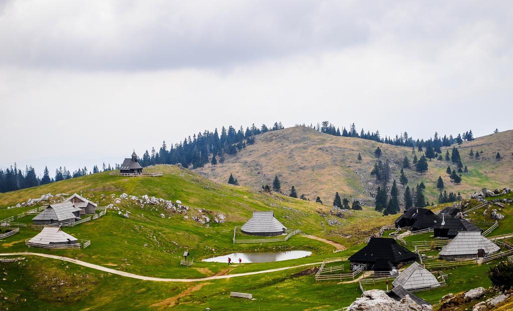 Chalet Tisa Velika Planina Stahovica Cameră foto