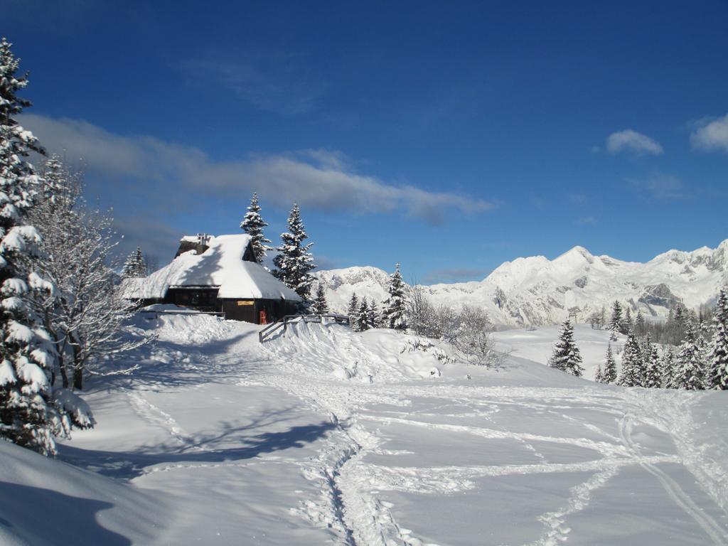 Chalet Tisa Velika Planina Stahovica Cameră foto