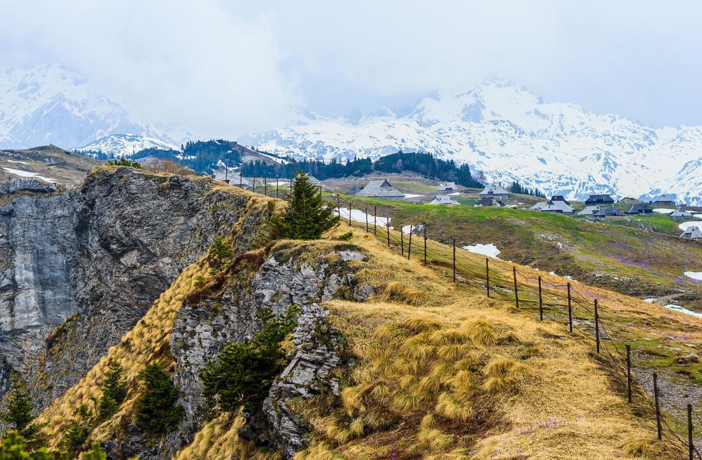 Chalet Tisa Velika Planina Stahovica Cameră foto