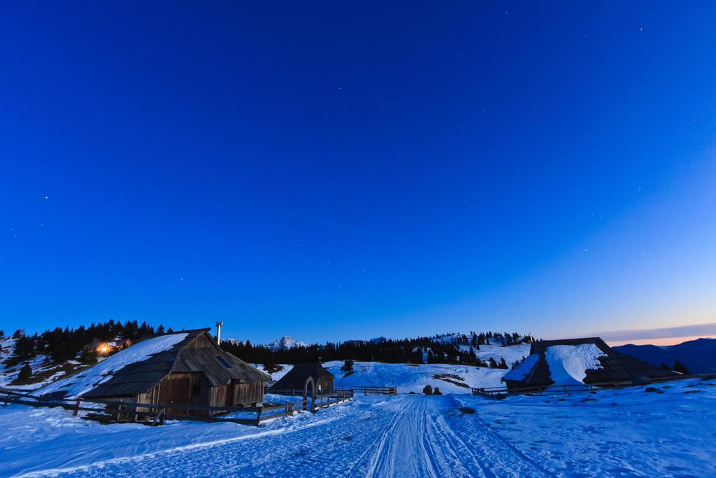 Chalet Tisa Velika Planina Stahovica Cameră foto