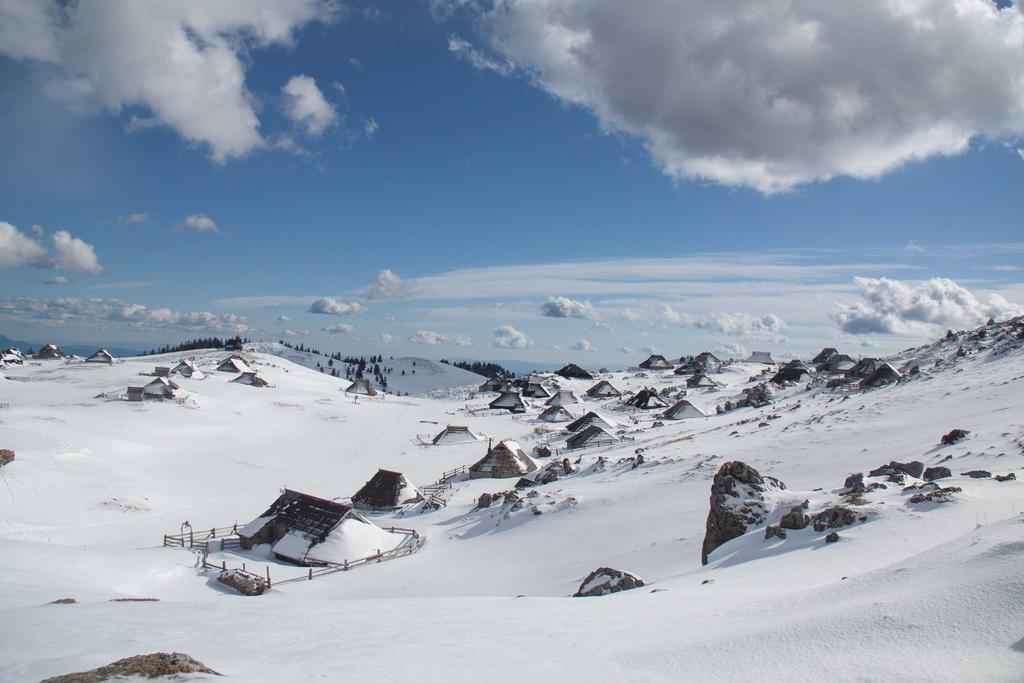 Chalet Tisa Velika Planina Stahovica Cameră foto