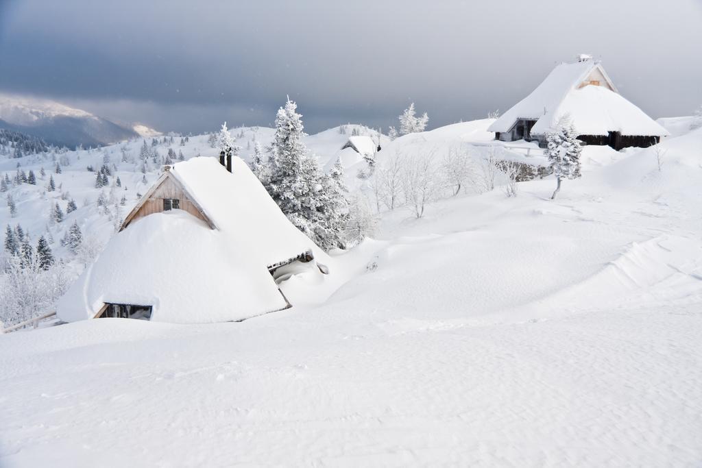 Chalet Tisa Velika Planina Stahovica Cameră foto
