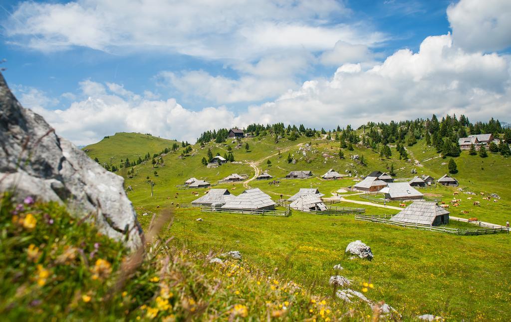 Chalet Tisa Velika Planina Stahovica Cameră foto