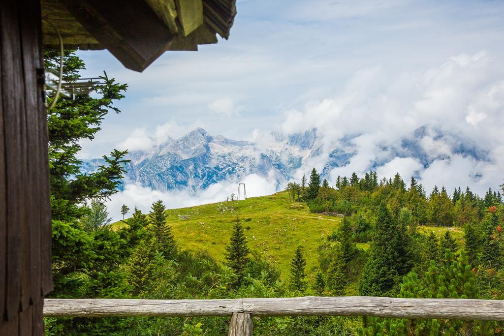 Chalet Tisa Velika Planina Stahovica Exterior foto