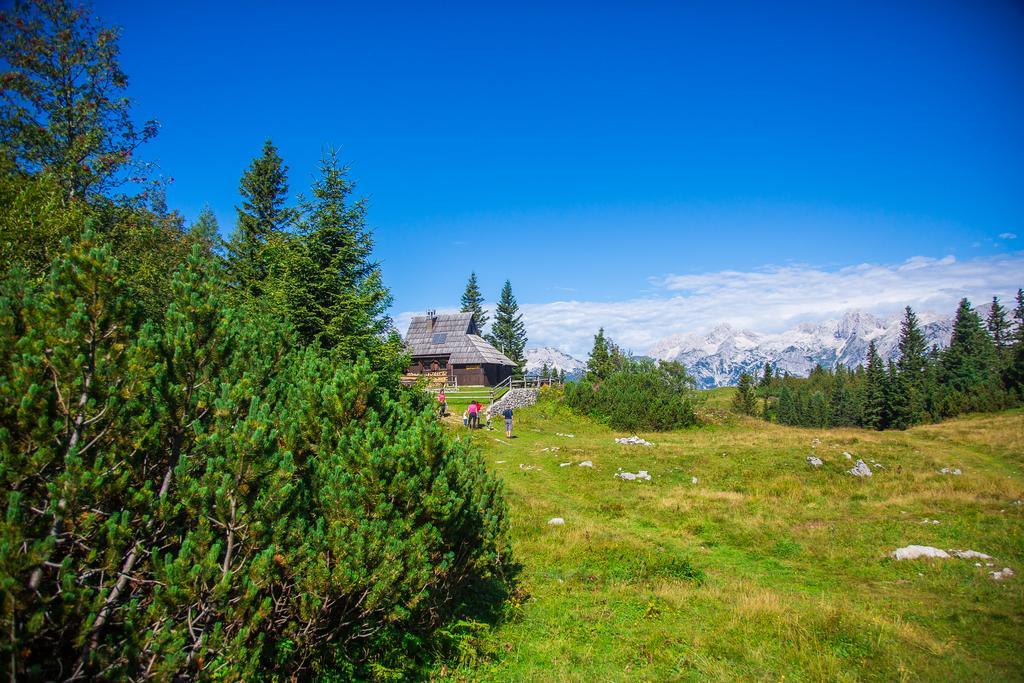 Chalet Tisa Velika Planina Stahovica Exterior foto